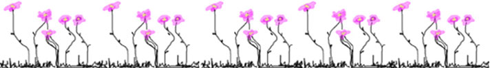drawn-flower-border-1.jpg