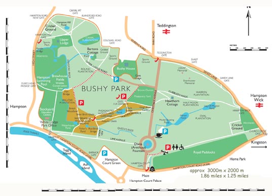 Bushy Park map