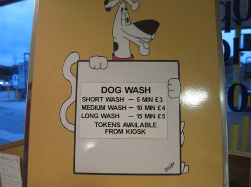 dogwash-1